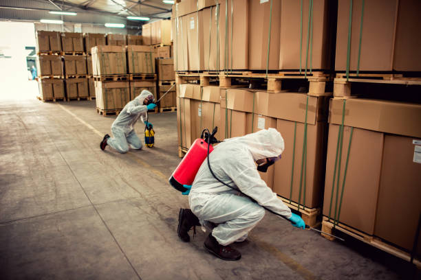 Best Wasp Removal Services  in Huber Heights, OH