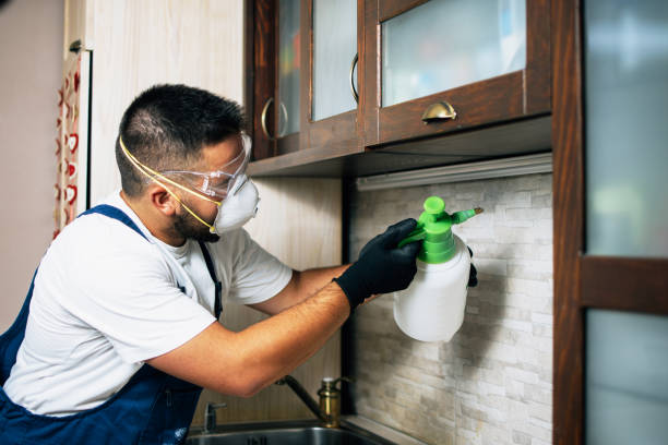 Best Best Pest Control Companies  in Huber Heights, OH