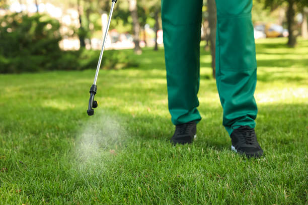 Best Pest Control Near Me  in Huber Heights, OH