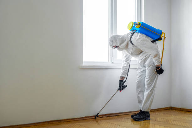 Best Local Pest Control Services  in Huber Heights, OH