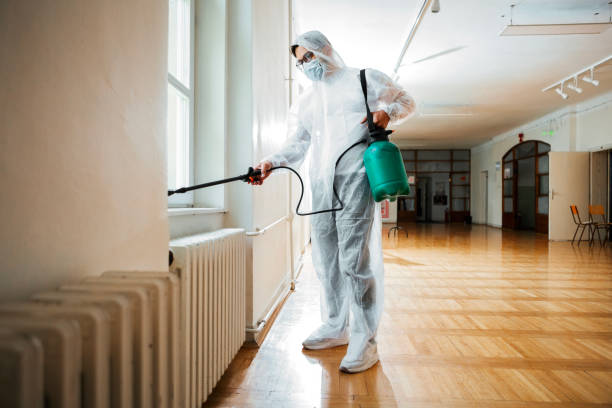 Best Bed Bug Extermination  in Huber Heights, OH