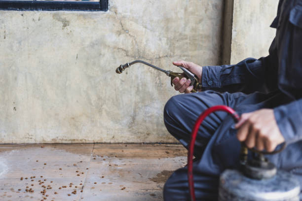 Pest Control for Restaurants in Huber Heights, OH